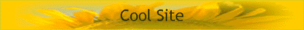 Cool Site