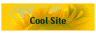 Cool Site