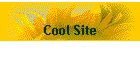 Cool Site