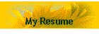 My Resume