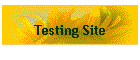 Testing Site